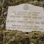 Stadtverwaltung Geisa - Gedenktafel der Botaniker der Rhön Adalbert Geheeb und Moritz Goldschmidt