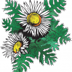 Stadtverwaltung Geisa - Logo Silberdistel